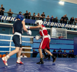 Домашний успех