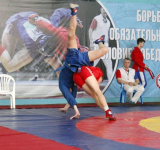 У ярославских самбистов три медали