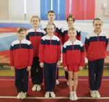 Пять медалей ярославских акробатов