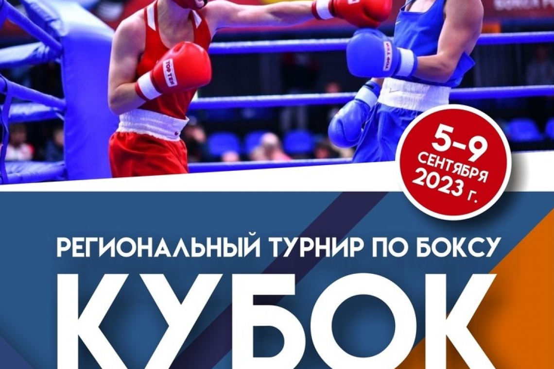 Кубок Губернатора по боксу