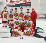 Ярославские хоккеисты стали победителями