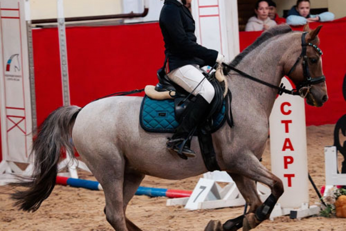 А пони тоже кони