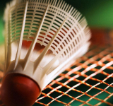 У ярославских бадминтонистов 10 медалей