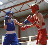 Отличились боксеры Ярославского региона